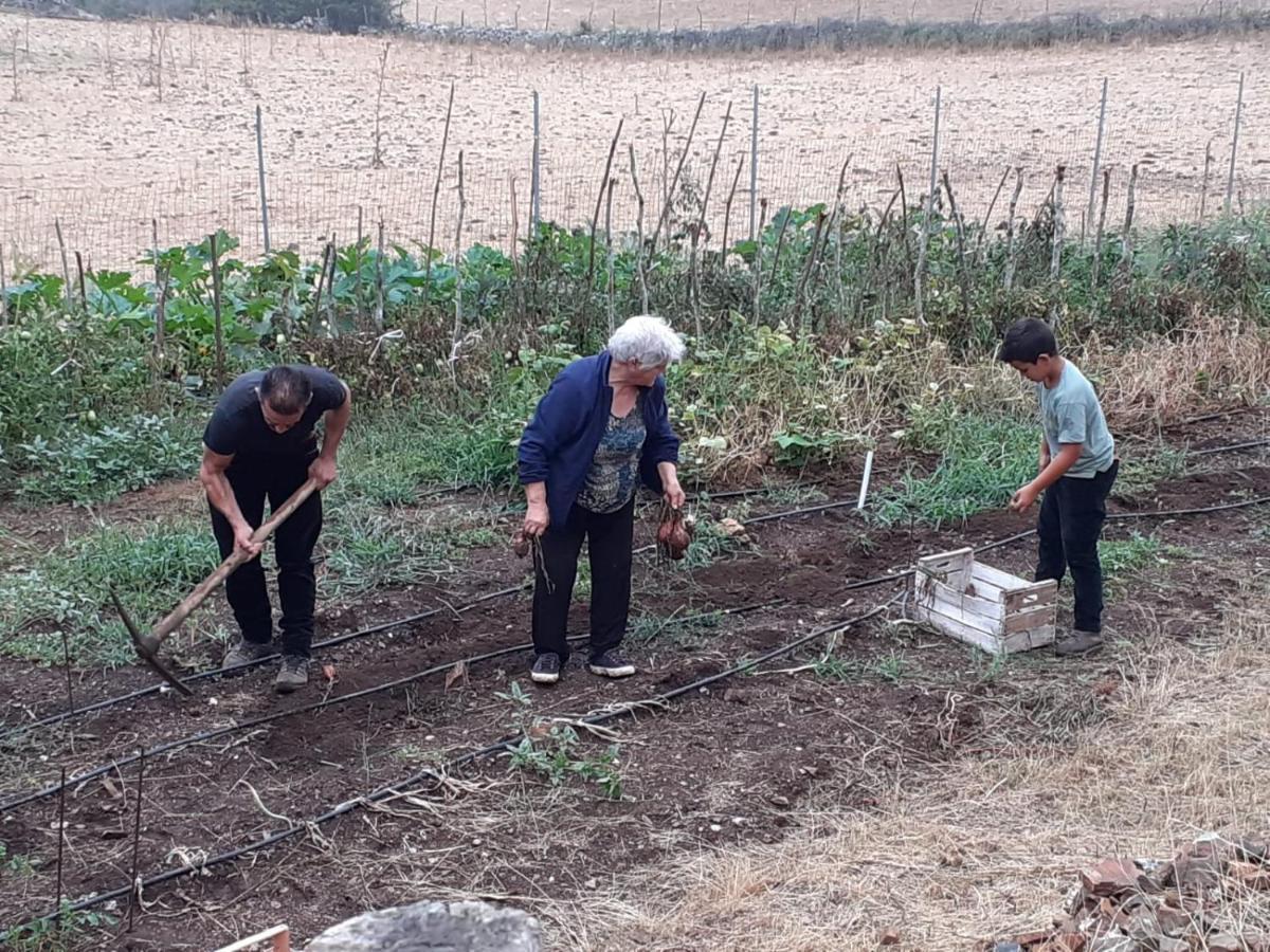 Agriturismo S'Armidda Seùlo Kültér fotó