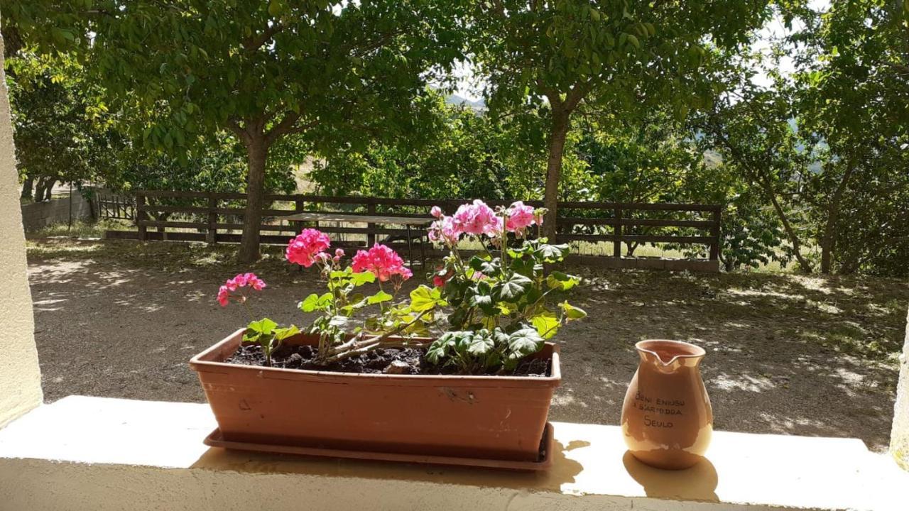Agriturismo S'Armidda Seùlo Kültér fotó