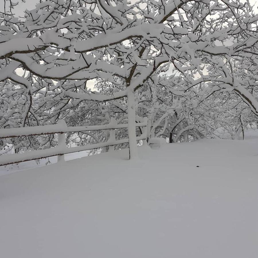 Agriturismo S'Armidda Seùlo Kültér fotó